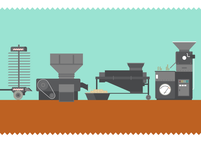 Where Does Coffee Come From?