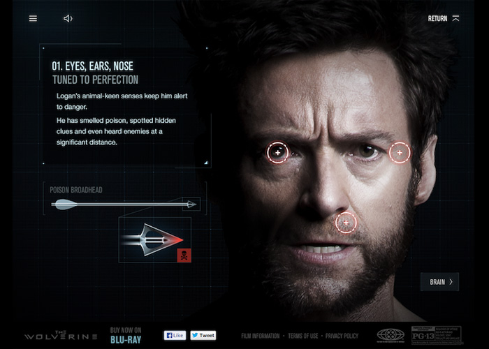 The Wolverine Unleashed