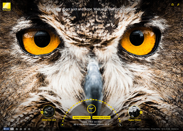 Nikon Image Quality Experience