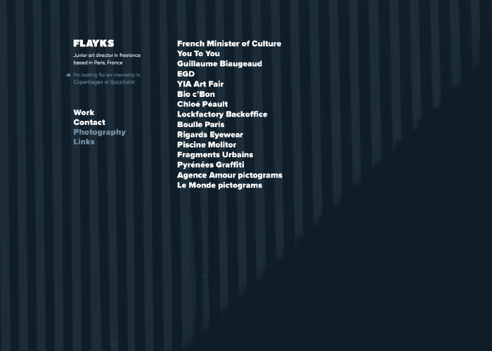 Flayks Portfolio
