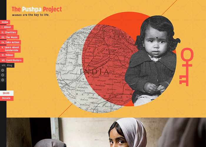 The Pushpa Project