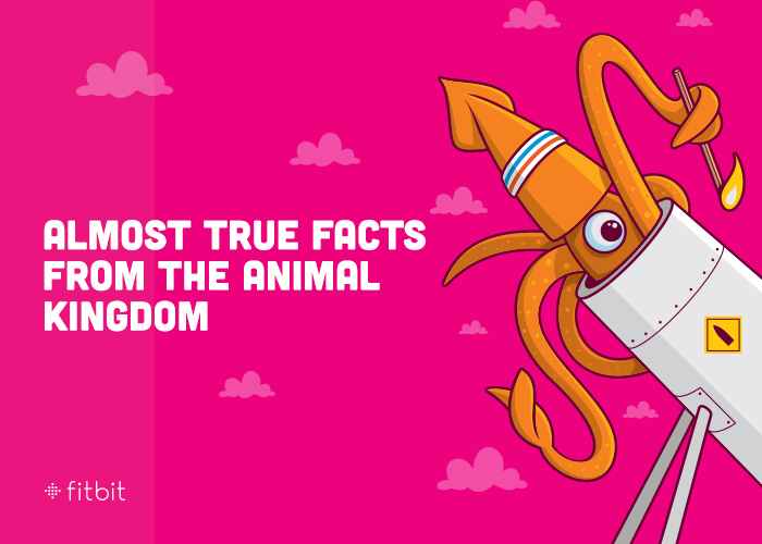 Fitbit 2013 : Almost True Facts from the Animal Kingdom