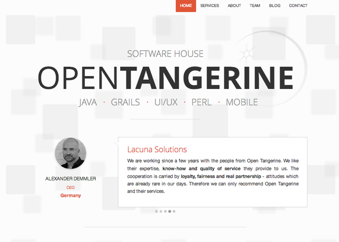 Software house Open Tangerine