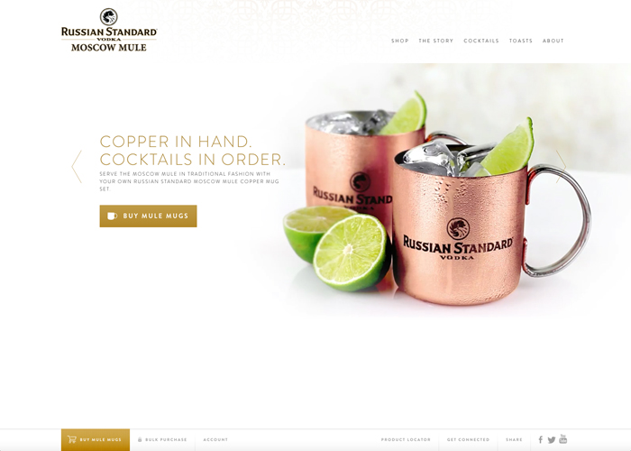 Russian Standard Moscow Mule