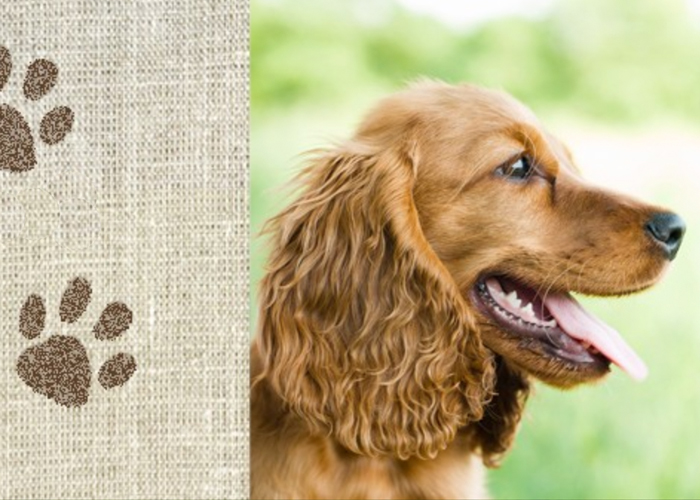 Natural Dog Food
