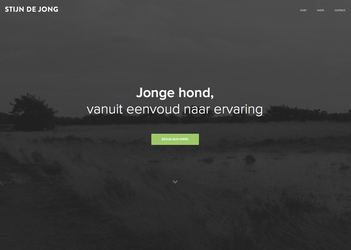 Stijn de Jong
