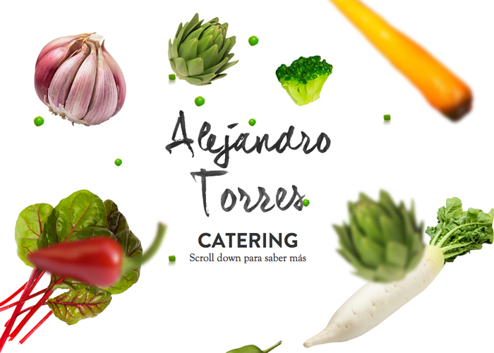 Alejandro Torres Catering