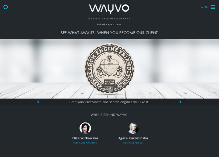 WAYVO