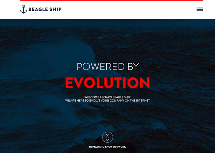 Beagle Ship