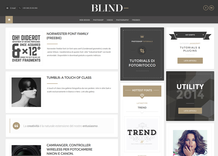BLIND VISIONARY