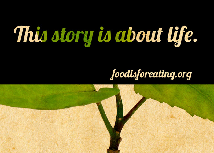 Food Is For Eating