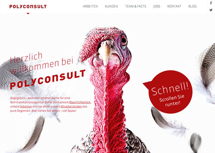 Polyconsult AG - Werbeagentur Bern