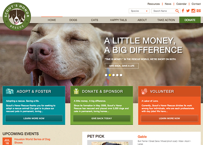Scout's Honor Rescue