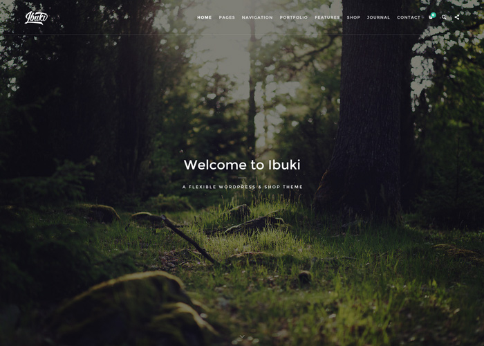 Ibuki - Creative & Shop Wordpress Theme