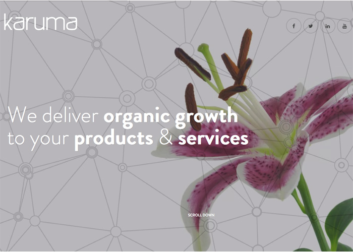 Karuma: your ideas executed
