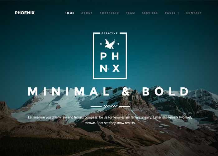 Phoenix Minimal Multipurpose Portfolio