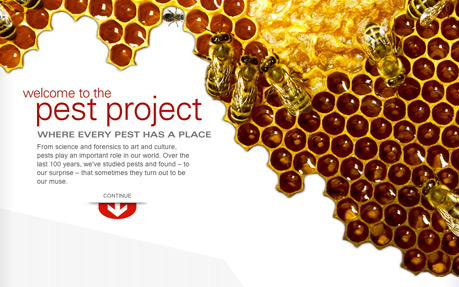 Orkin: The Pest Project