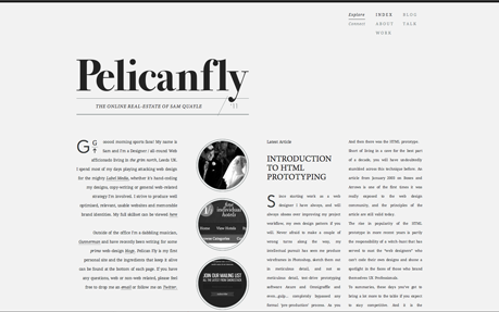 Pelican FLy