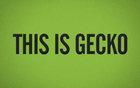 Gecko Imaging