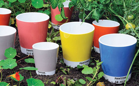 Pantone Flower Pots