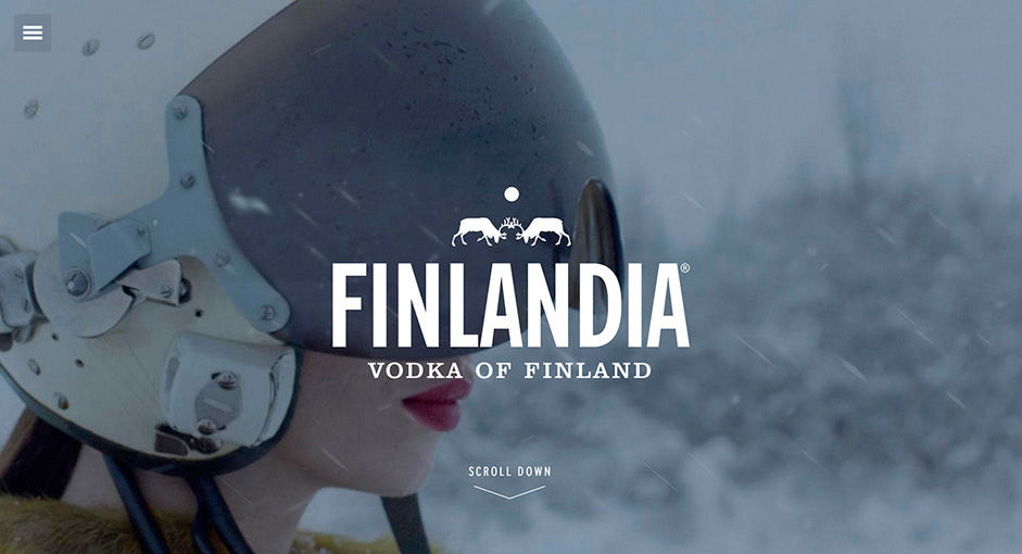 Finlandia Case Study 