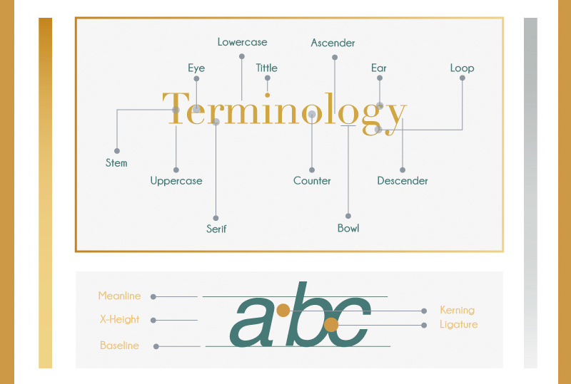 Useful Infographics for Web Designers